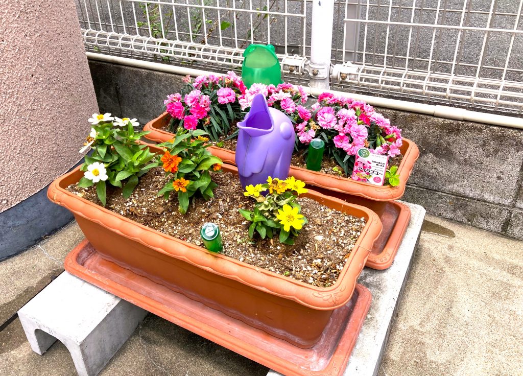 本社のプランターを初夏用の花に植え替えました エポック株式会社